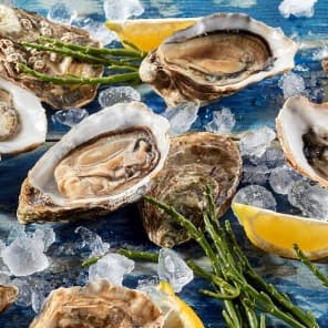 /content/dam/empire/sobeys/assets/images/uploads/2024/11/how_to-store-oysters.jpg