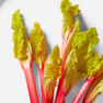 Read more about Everything You Need to Know About Rhubarb