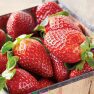 Read more about Profitez des fraises de l’été!