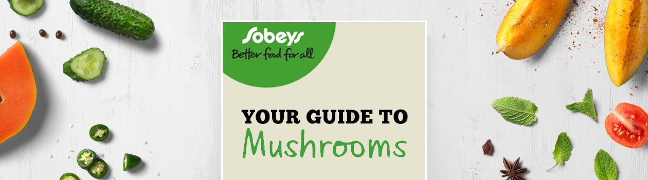 Your Guide To Mushrooms
