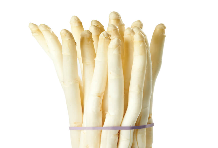 A bunch of white asparagus held by a purple elastic band.