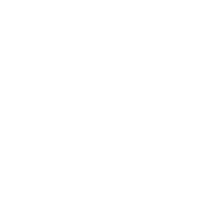 White special olympics Canada logo