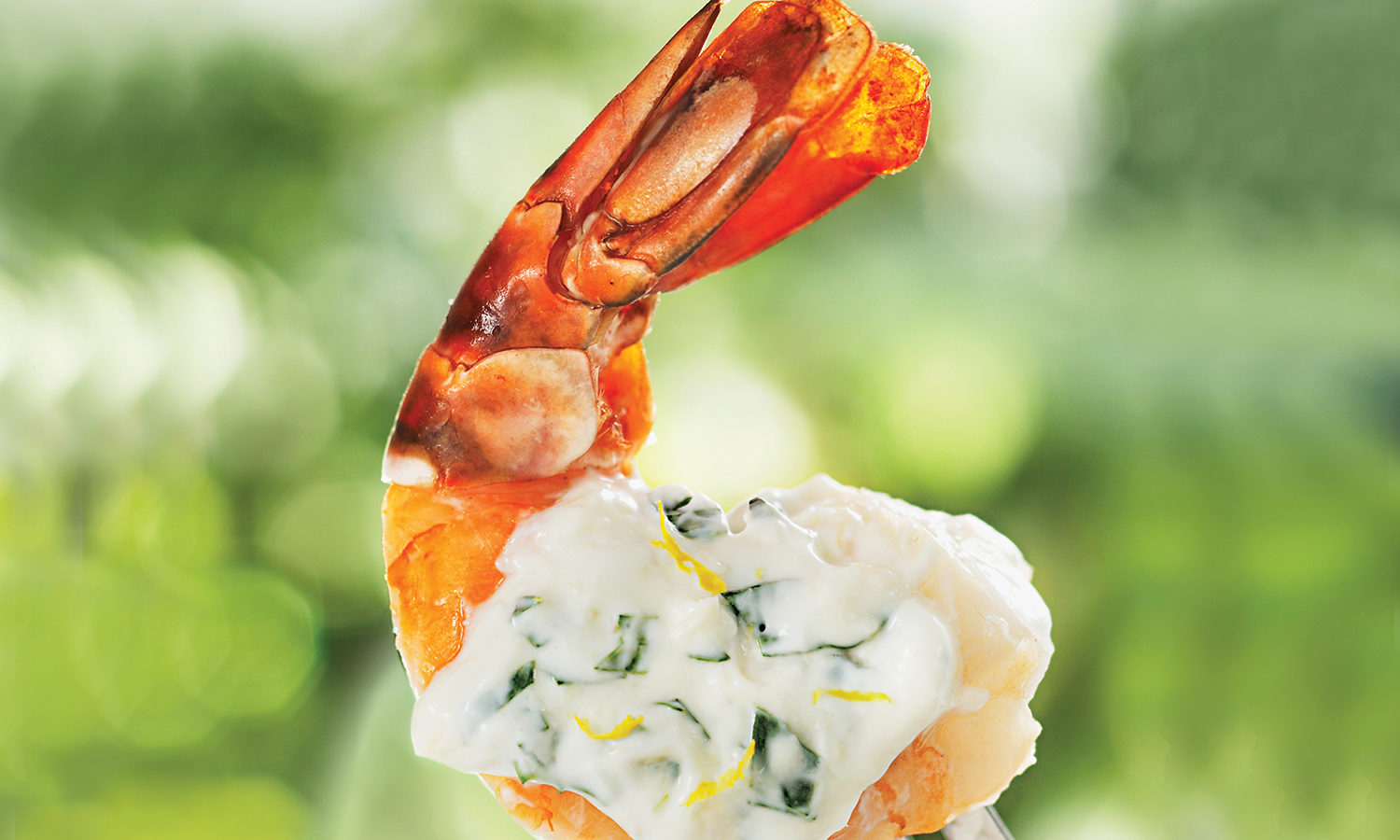 Creamy Tarragon Sauce Sobeys Inc.