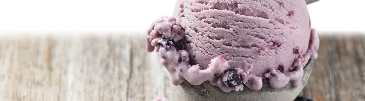 Compliments Naturally Simple Greek Frozen Yogourt