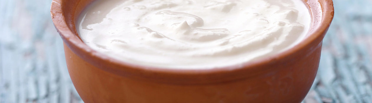 Greek Yogourt