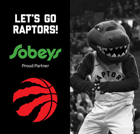 banner_mobile_raptors