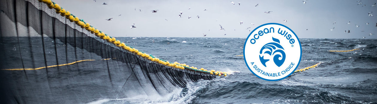 ocean-wise