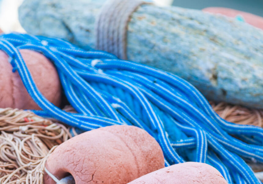 what-is-bycatch-desktop what-is-bycatch-desktop
