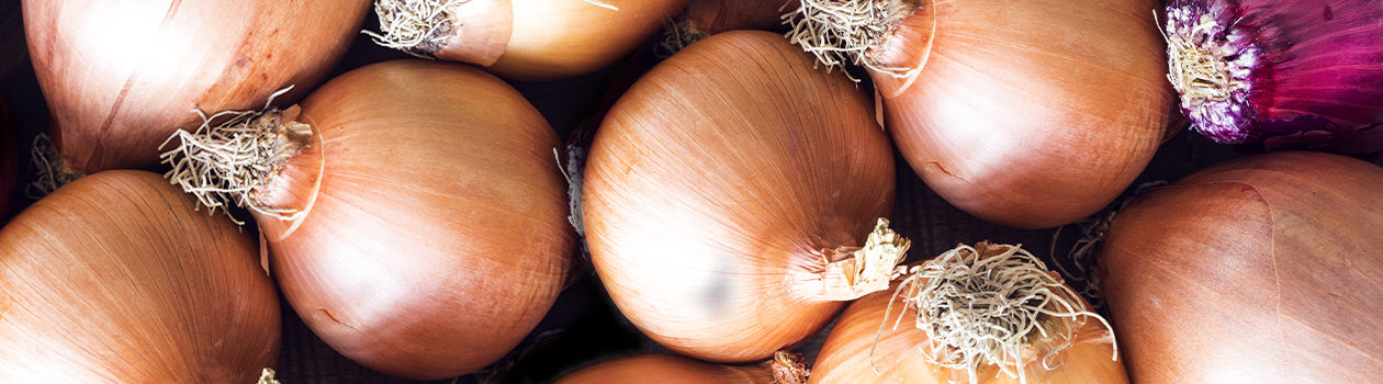 The ultimate onion guide