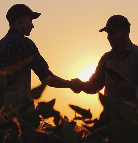 Supplier partners in a field shaking hands