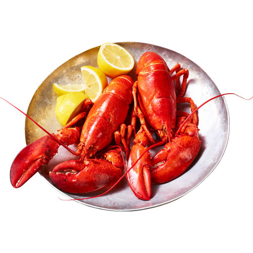  Two whole steamed lobsters on a silver plate with a few lemon wedges on the side. 