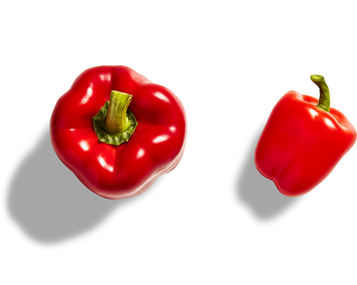 Red bell pepper on a white background.