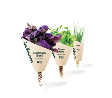 herbs-aromatic herbs aromatic