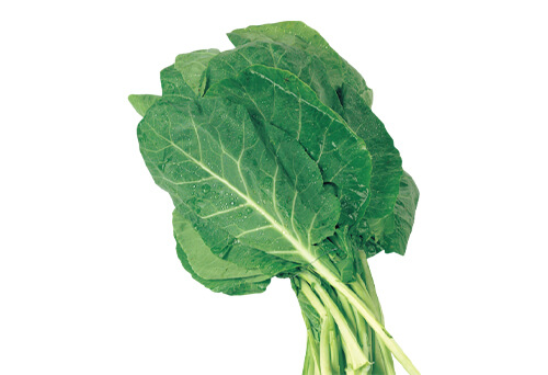  Bunch of fresh collard greens on a white background.