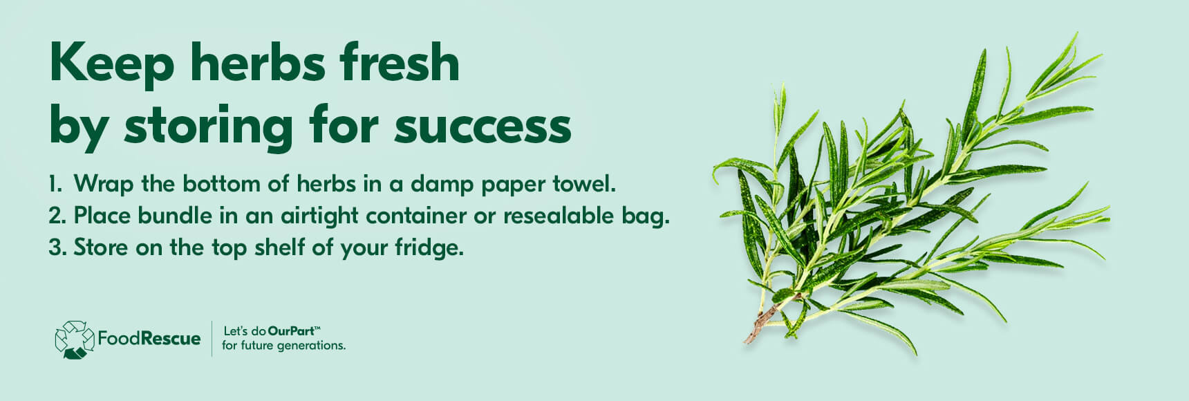 Text Reading 'Keep herbs fresh by storing for success. 1. Wrap the bottom of herbs in a damp paper towel. 2. Place bundle in an airtight container or resealable bag. 3. Store on the top shelf of your fridge.'