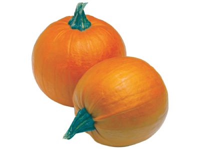 Pair of baking pumpkins on a white counter top.