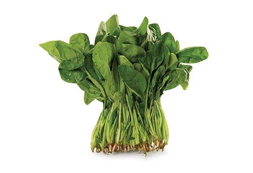 Bunch of fresh spinach on a white background.