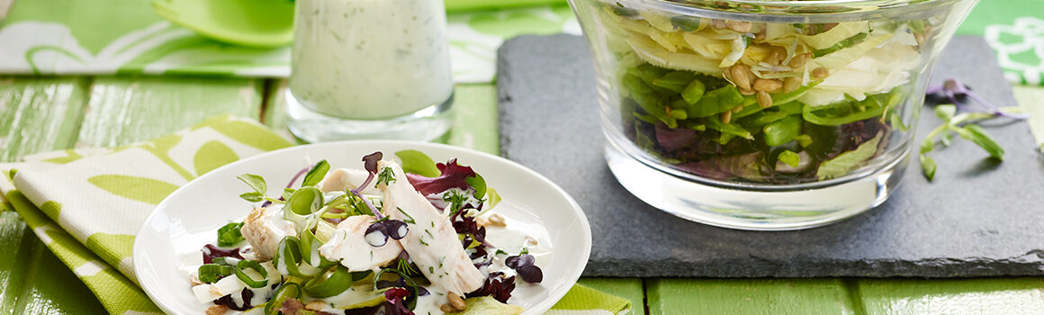 Chicken & Sprout Salad with Greek Yogourt Dressing