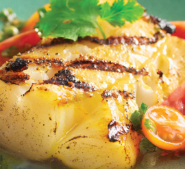  Close-up of halibut with red and orange sliced cherry tomatoes beside them on a green plate.