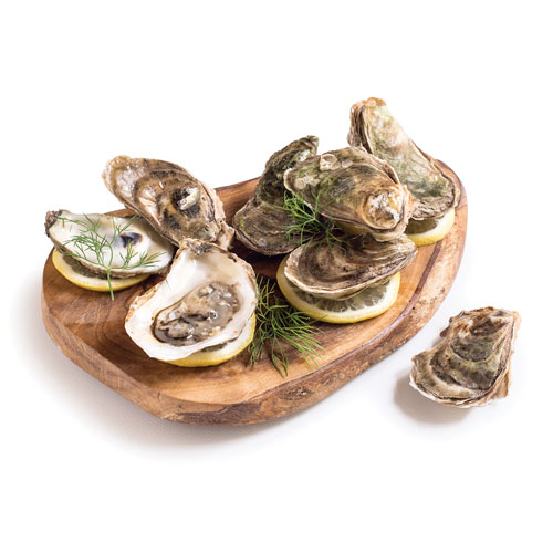 An array of fresh, east coast oysters on a wooden cutting board.