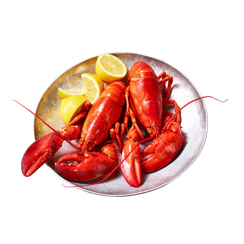 Two, cooked lobsters on a metal serving tray with fresh lemon wedges