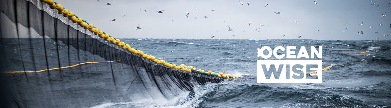 Sustainable seafood at sobeys