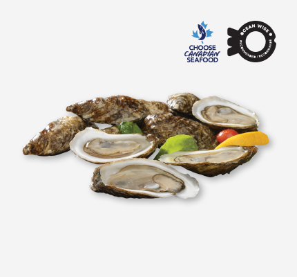 Eastern oysters