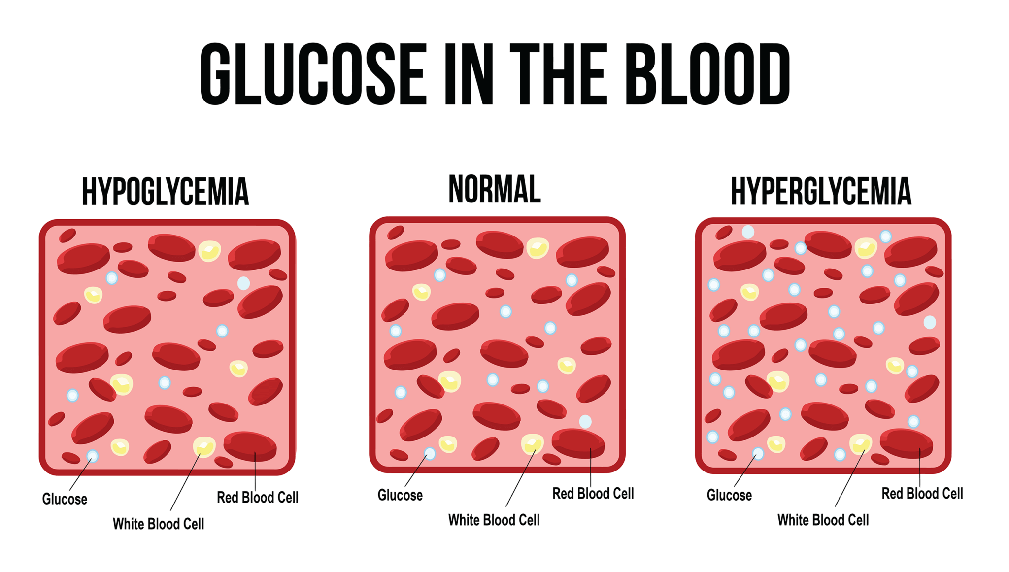 Glucose in blood