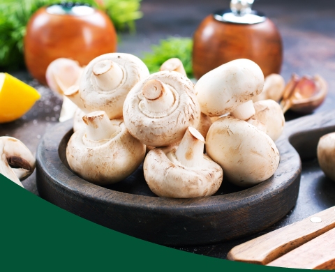 Mushroom of the month