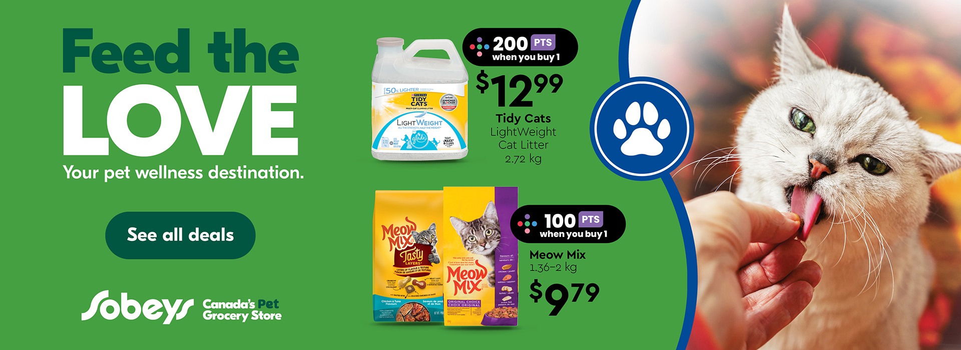 October is Pet Wellness Month