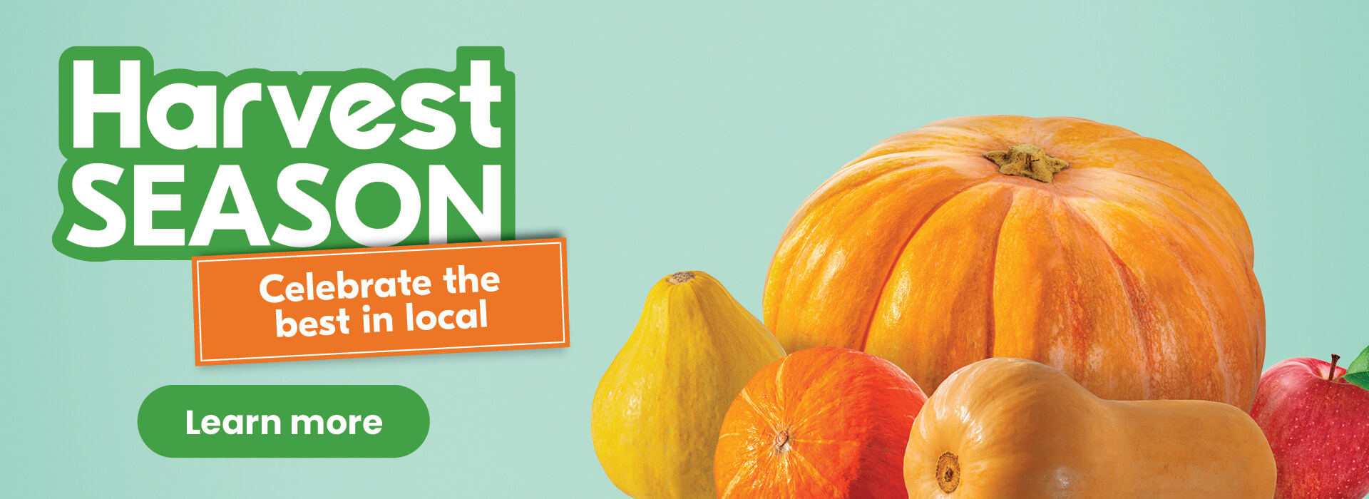 Harvest Season, Celebrate the best in local