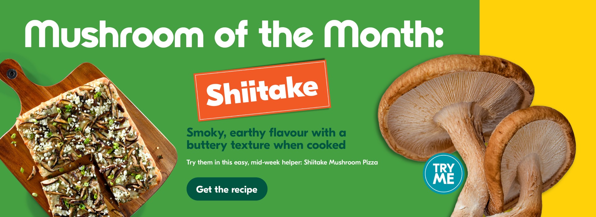 Mushroom of the Month: Shiitake
