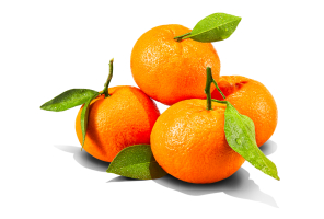 4 clementines gathered on white background, some connected with leaves
