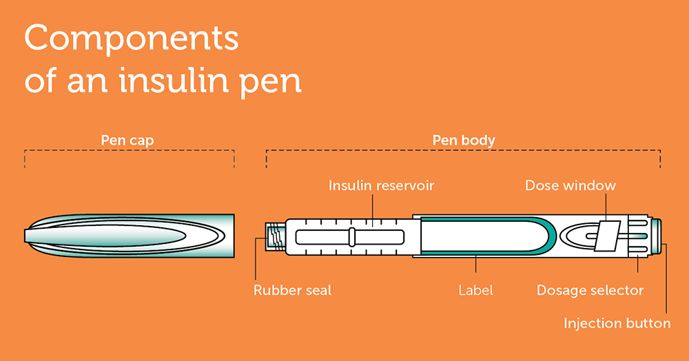 Insulin therapy parts of an insulin pen
