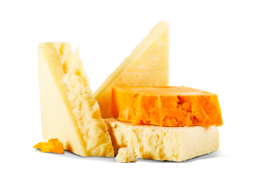Four blocks of a variety of cheese on a white background