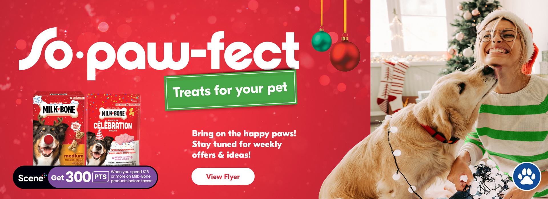Treats for your pet