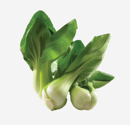 Three heads of bok choy