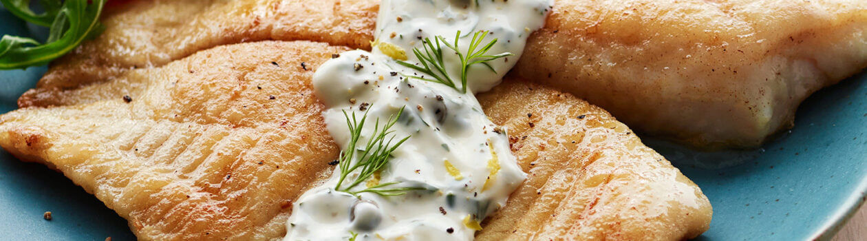 tilapia