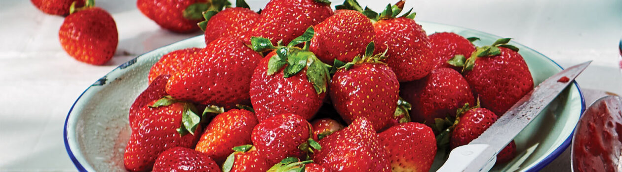 Creative Berry Bounty Banquet