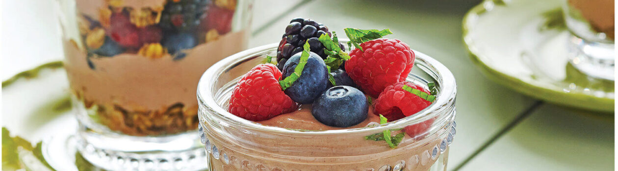 Crunchy Chocolate Berry Yogurt Cup Stag