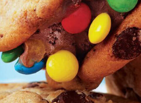 IceCreamSadwiches feature