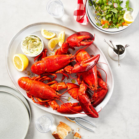 Boiled lobster on a plate with a side of butter sauce.