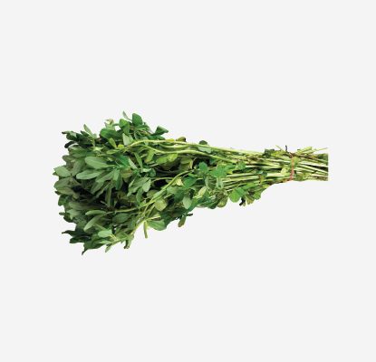 Methi