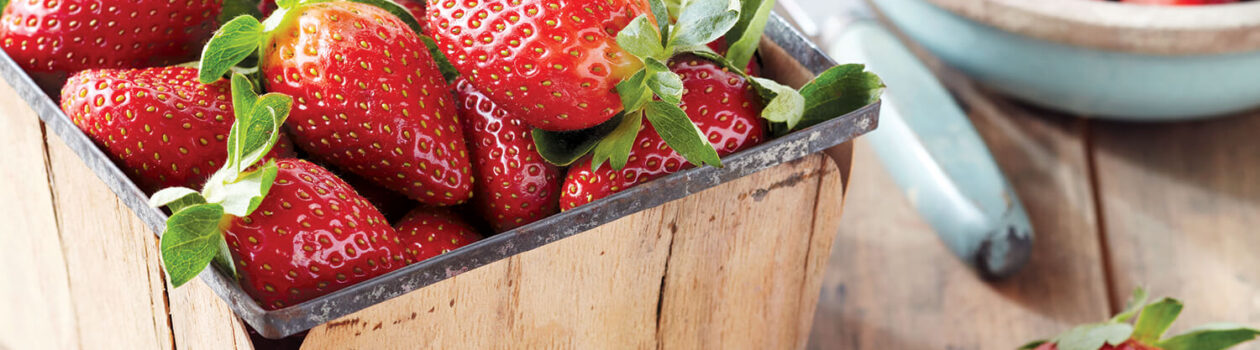 STRAWBERRIES