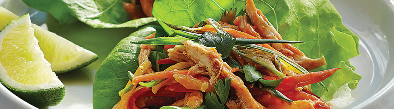 Thai Chicken Salad stag