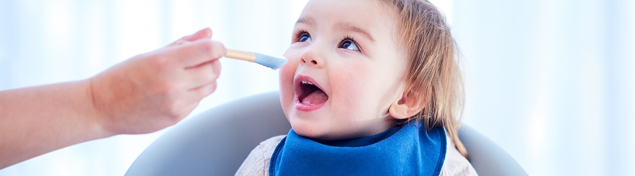 cerebelly baby food