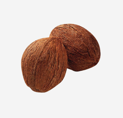 Two fresh coconuts