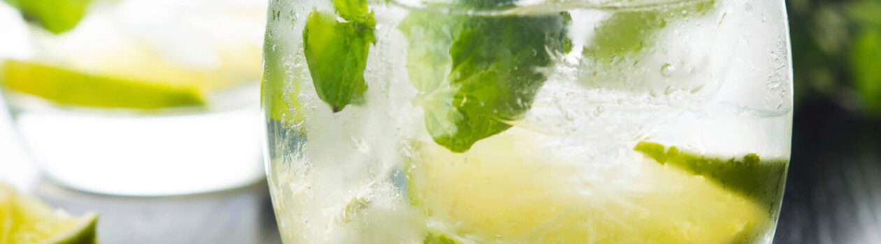 virgin_mojito_stag