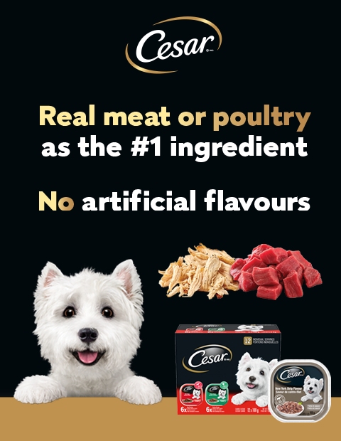 real__meat-or__poultry The left side has an image of a dog, with a slogan and the logo in the middle, and a box and single serving of food on the right.