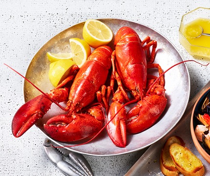 first-of-the-season-lobster_ Full cooked lobster in a bowl beside a plate of toasted bread.